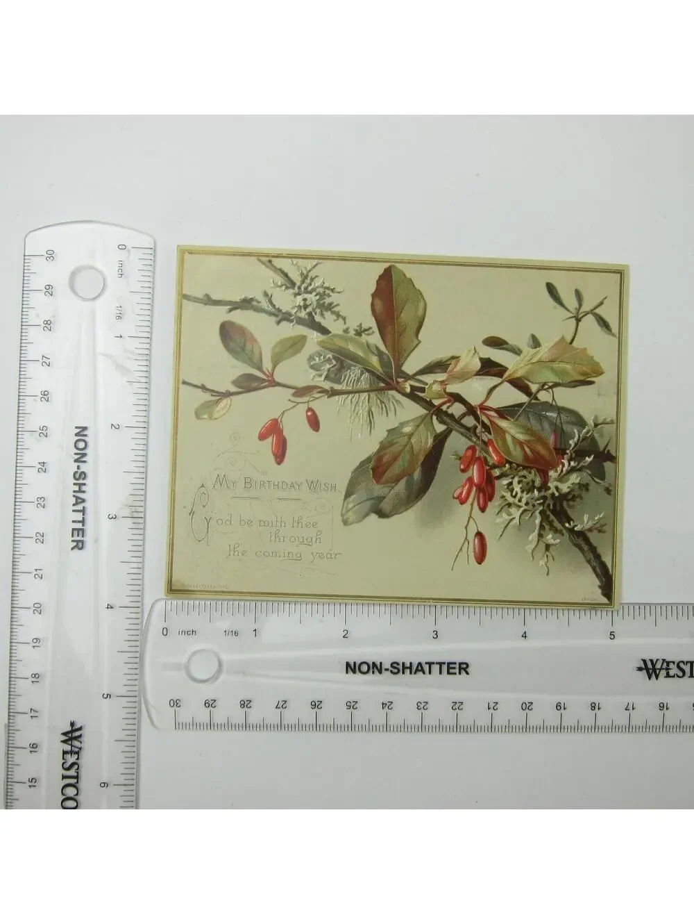 Victorian Birthday Greeting Card Red Barberry Branch Raphael Tuck & Sons Antique